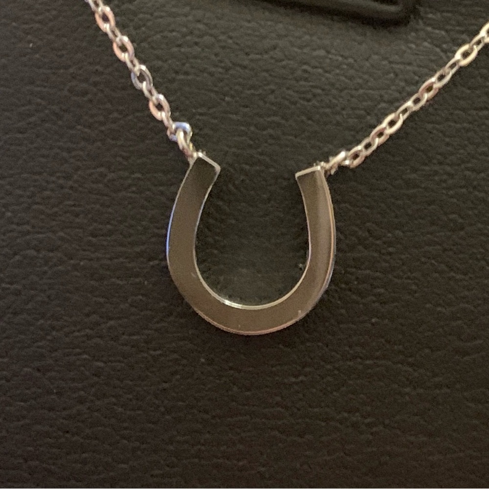 Lucky Horseshoe Necklace 16”+2” Stainless Steel